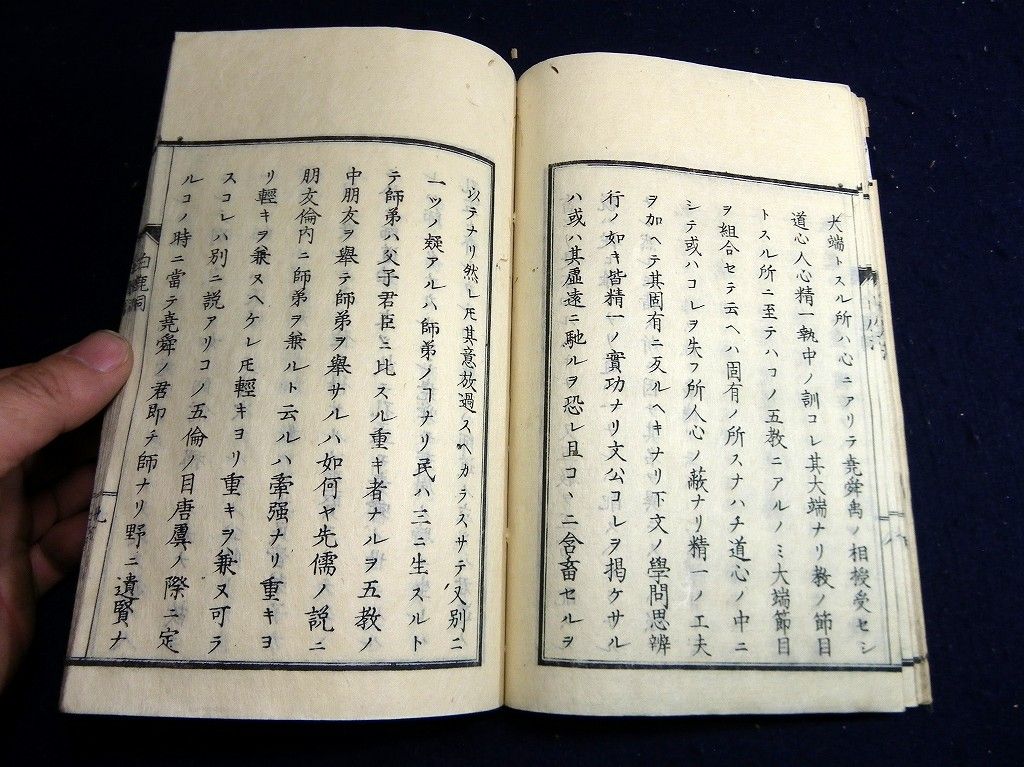 イメージ 6