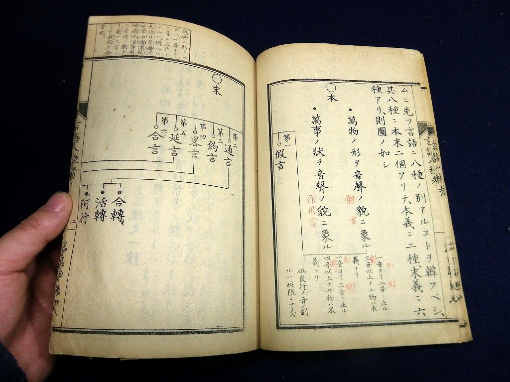 イメージ 5