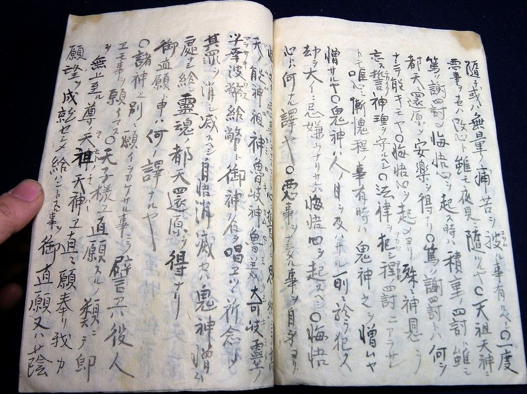 イメージ 4