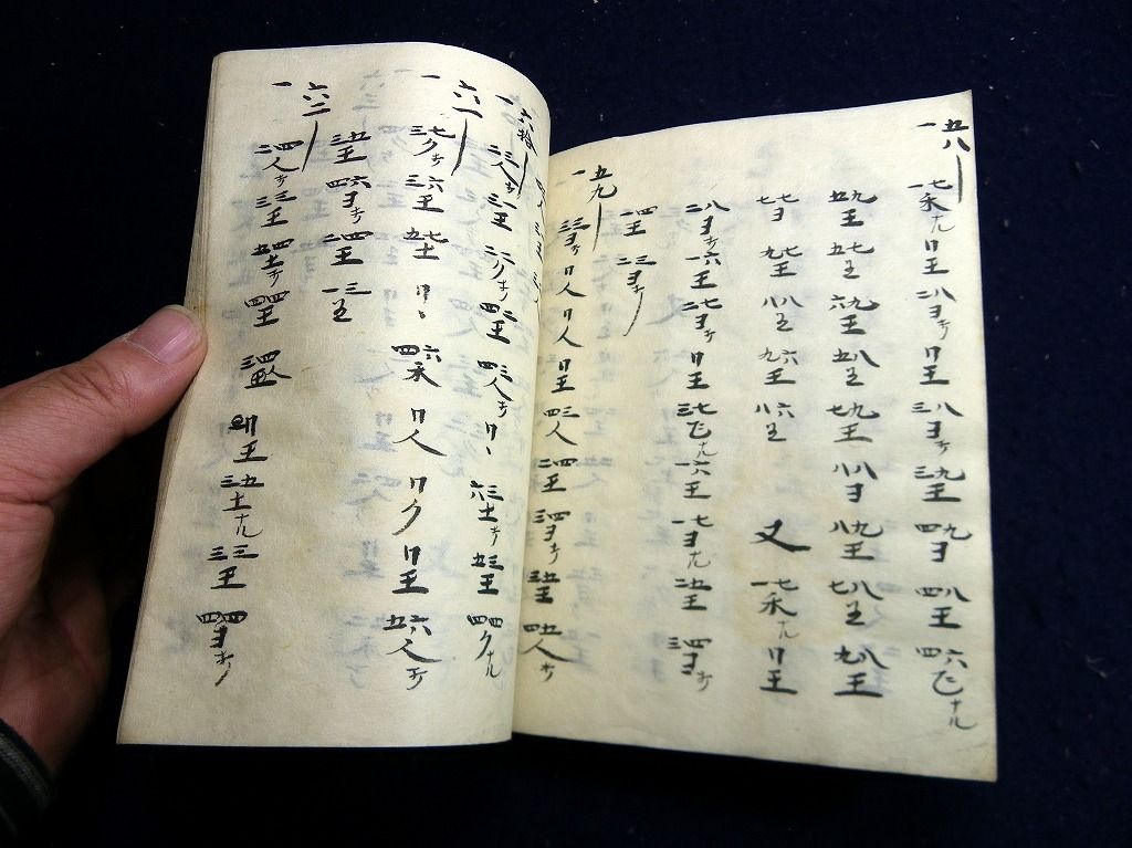 イメージ 5