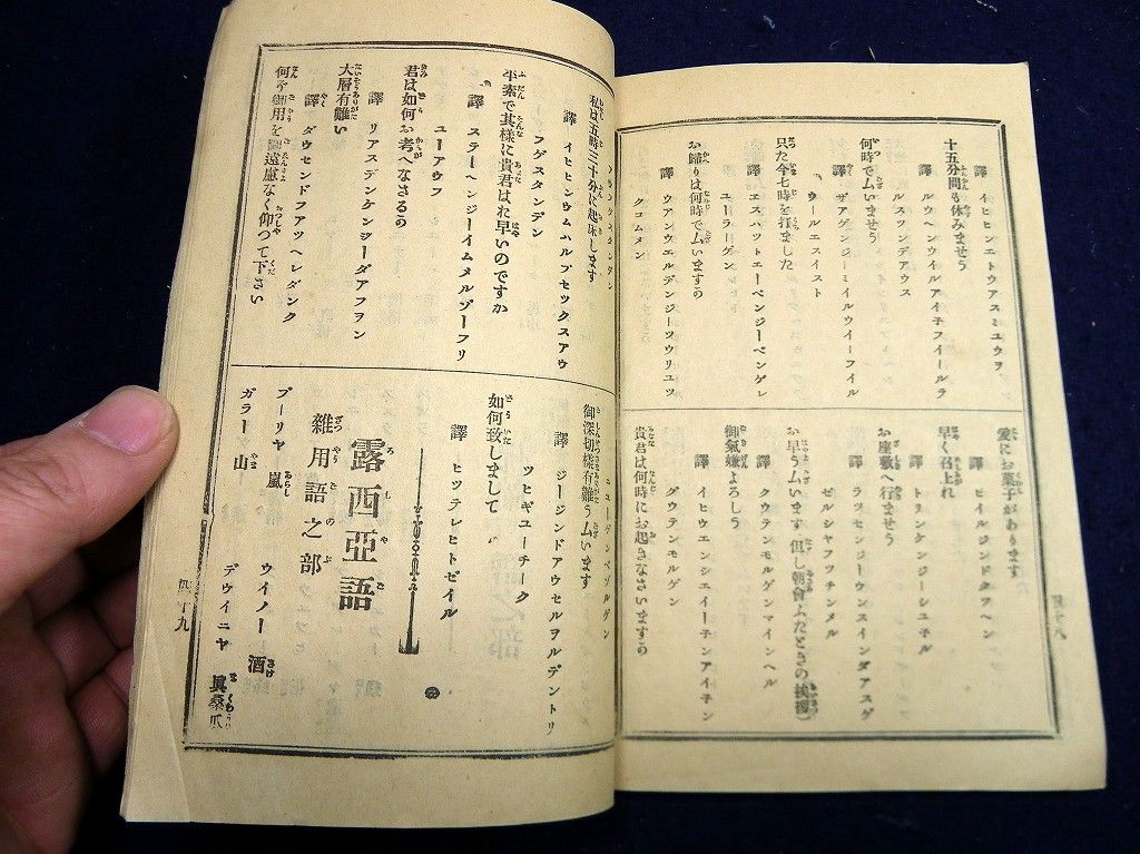 イメージ 10
