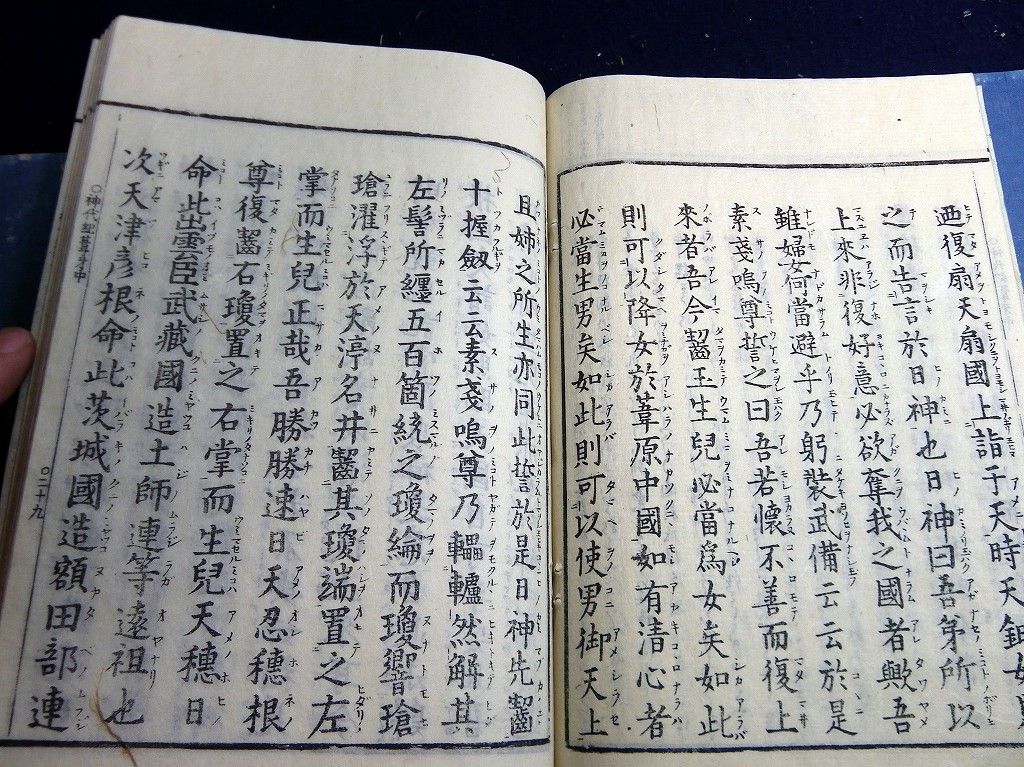 イメージ 7