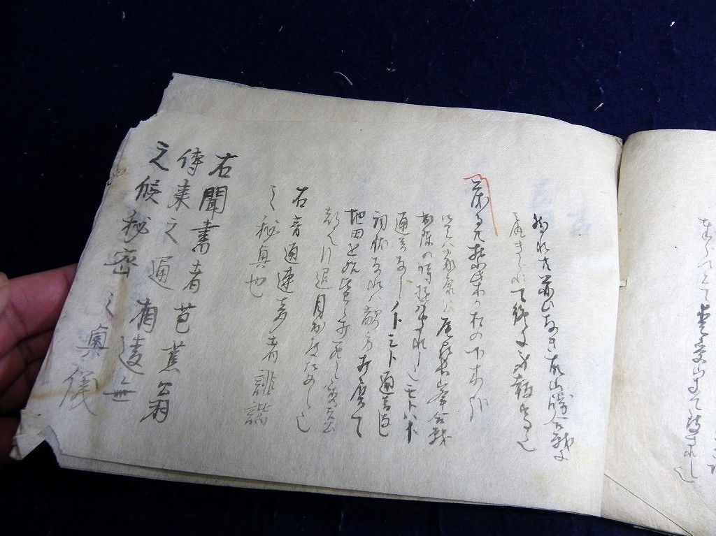 イメージ 7