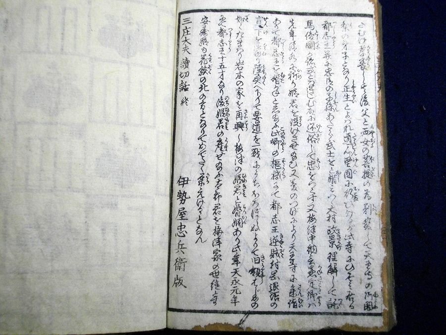 イメージ 5