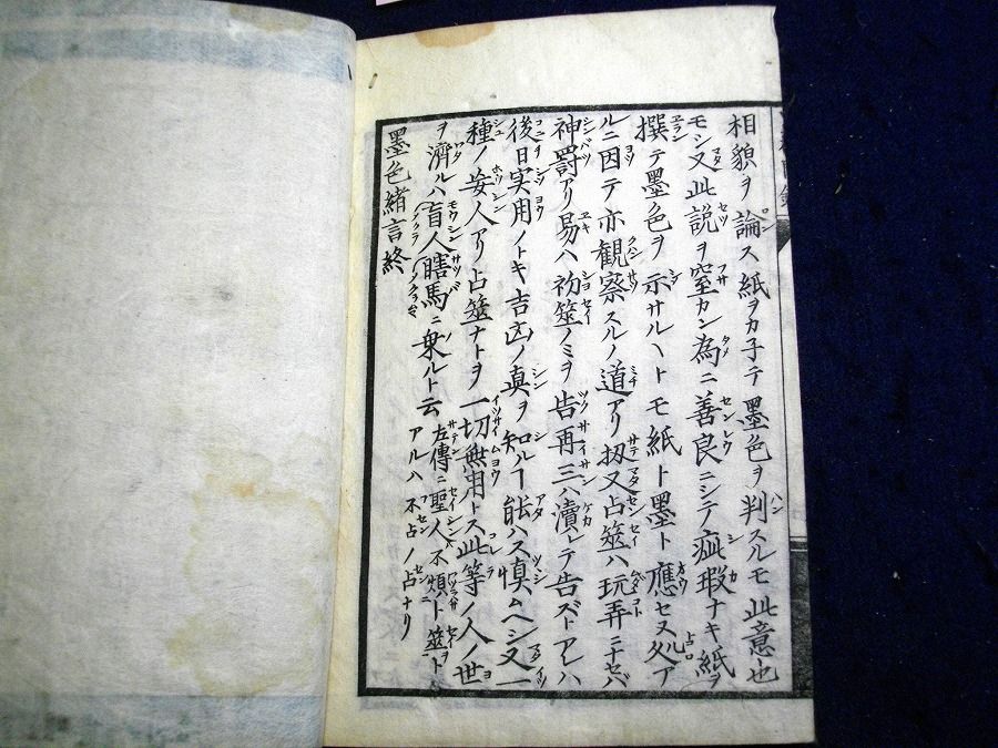 イメージ 9