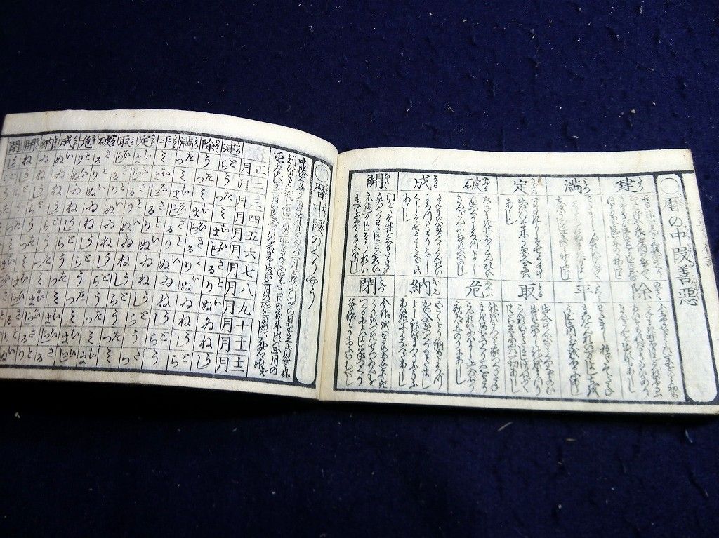 イメージ 12