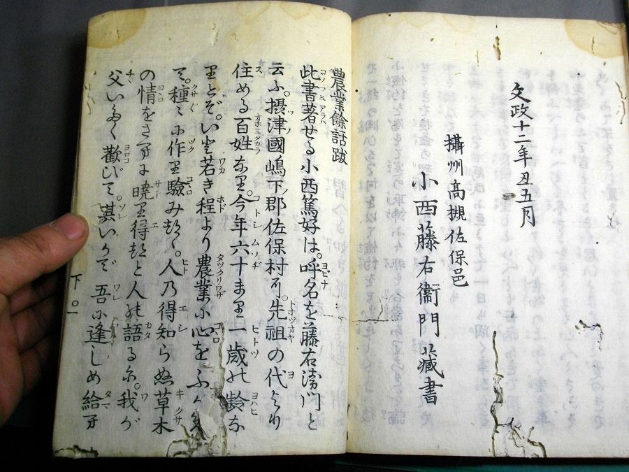 イメージ 6