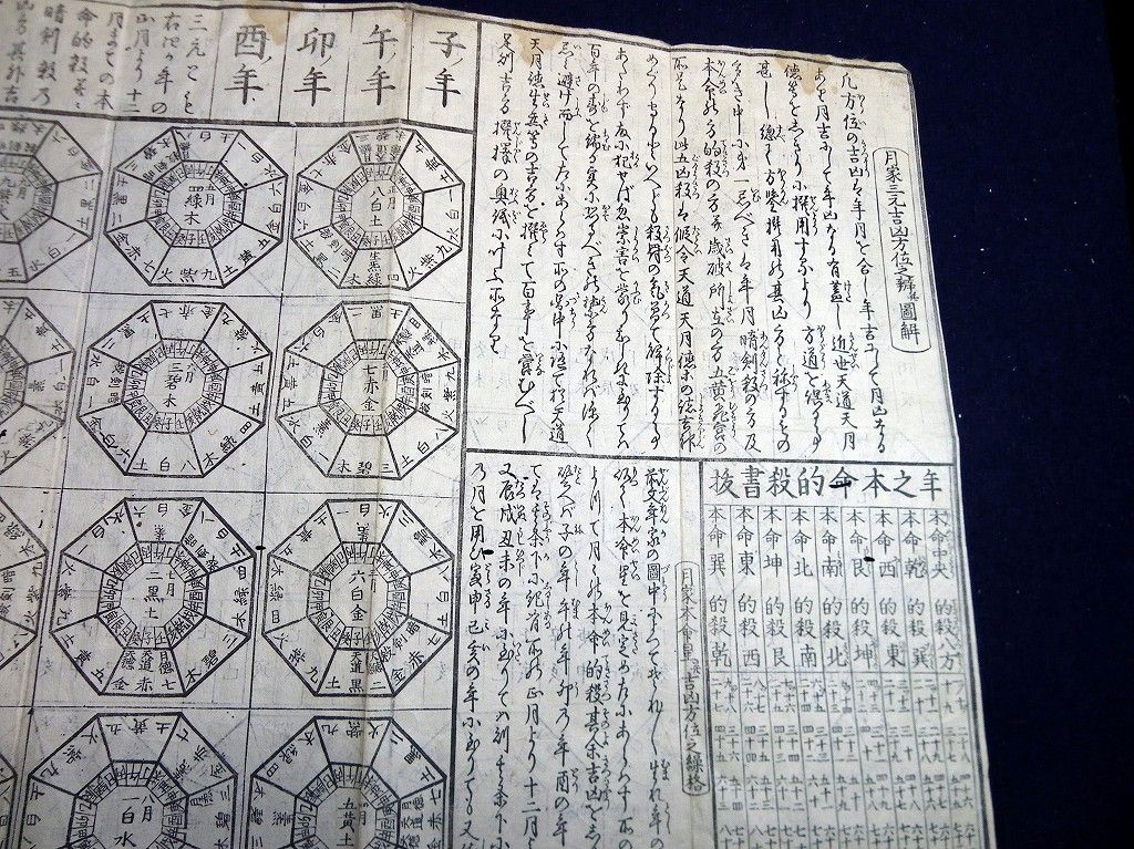 イメージ 6