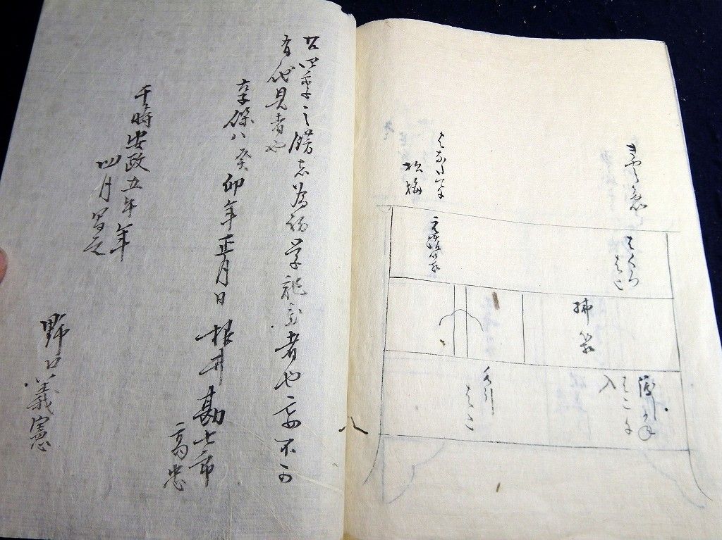 イメージ 12