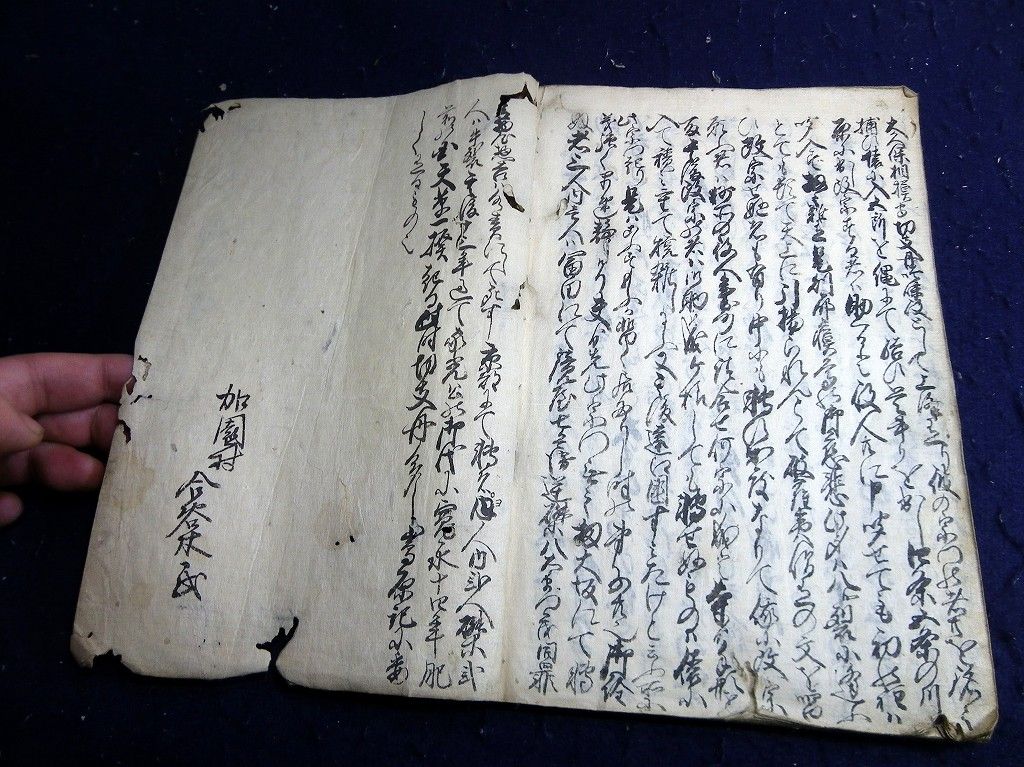 イメージ 9