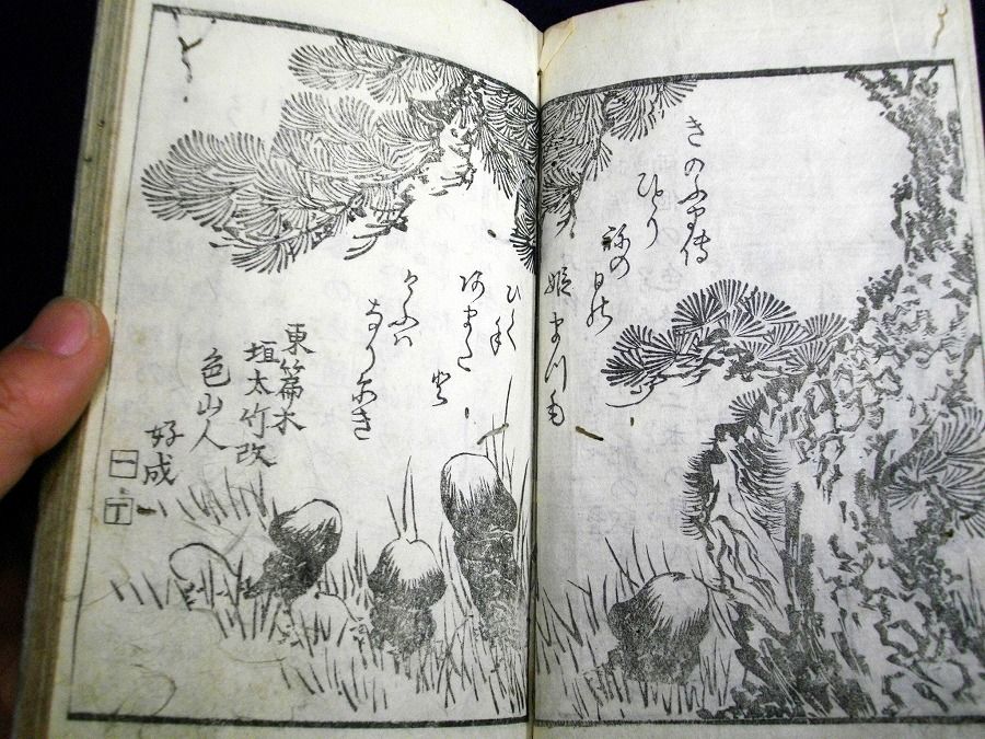 イメージ 3
