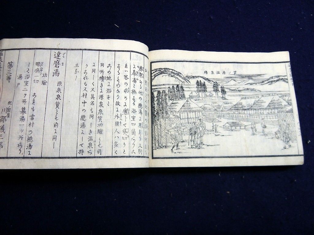 イメージ 12