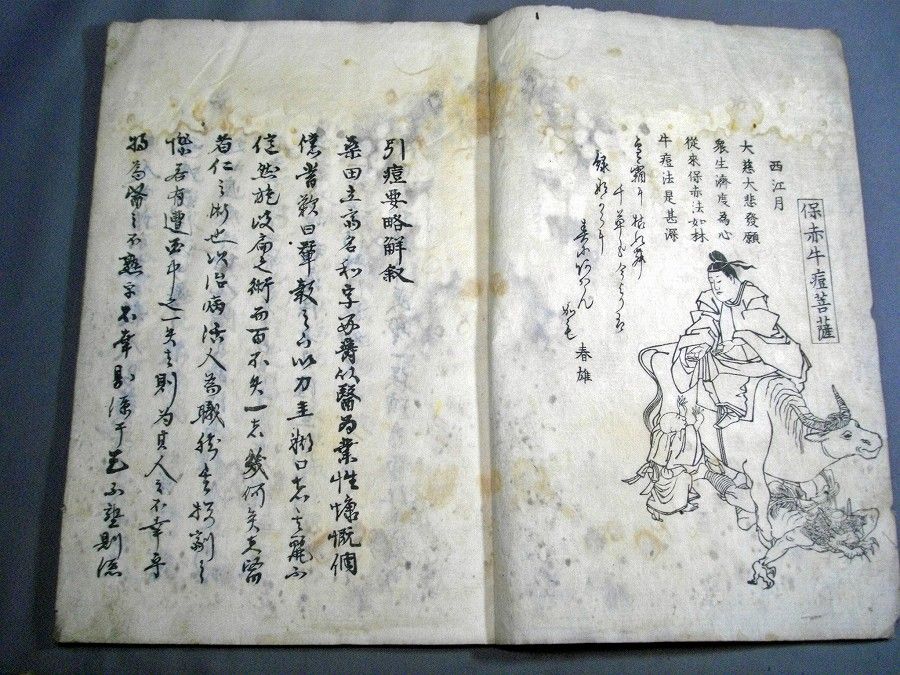 和本江戸嘉永期天然痘種痘医学書「牛痘発蒙」1冊桑田立斎蘭方医 : 北さん堂雑記パート2