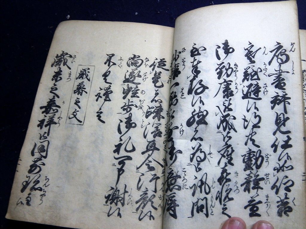 イメージ 5
