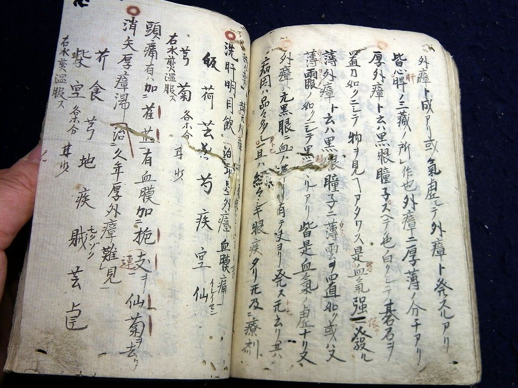 イメージ 6