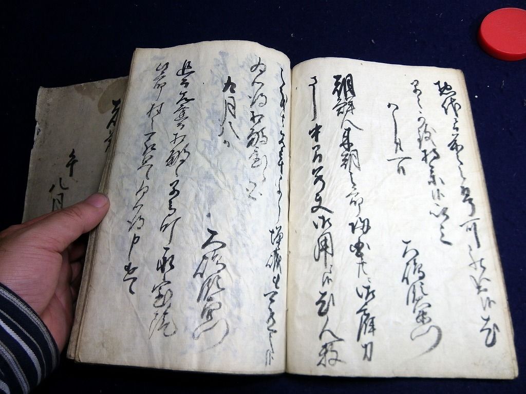イメージ 5