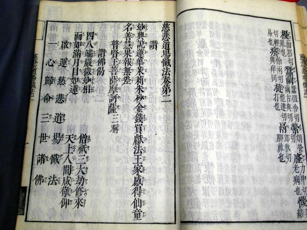 イメージ 5