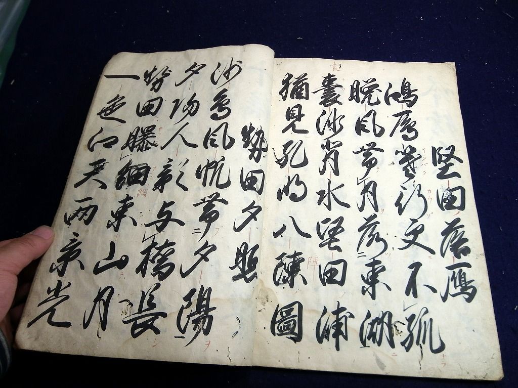 イメージ 8
