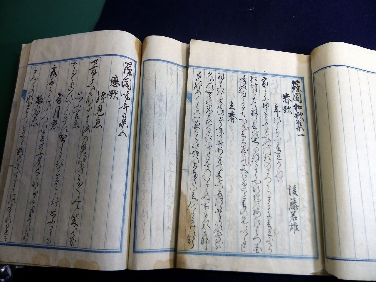 イメージ 7
