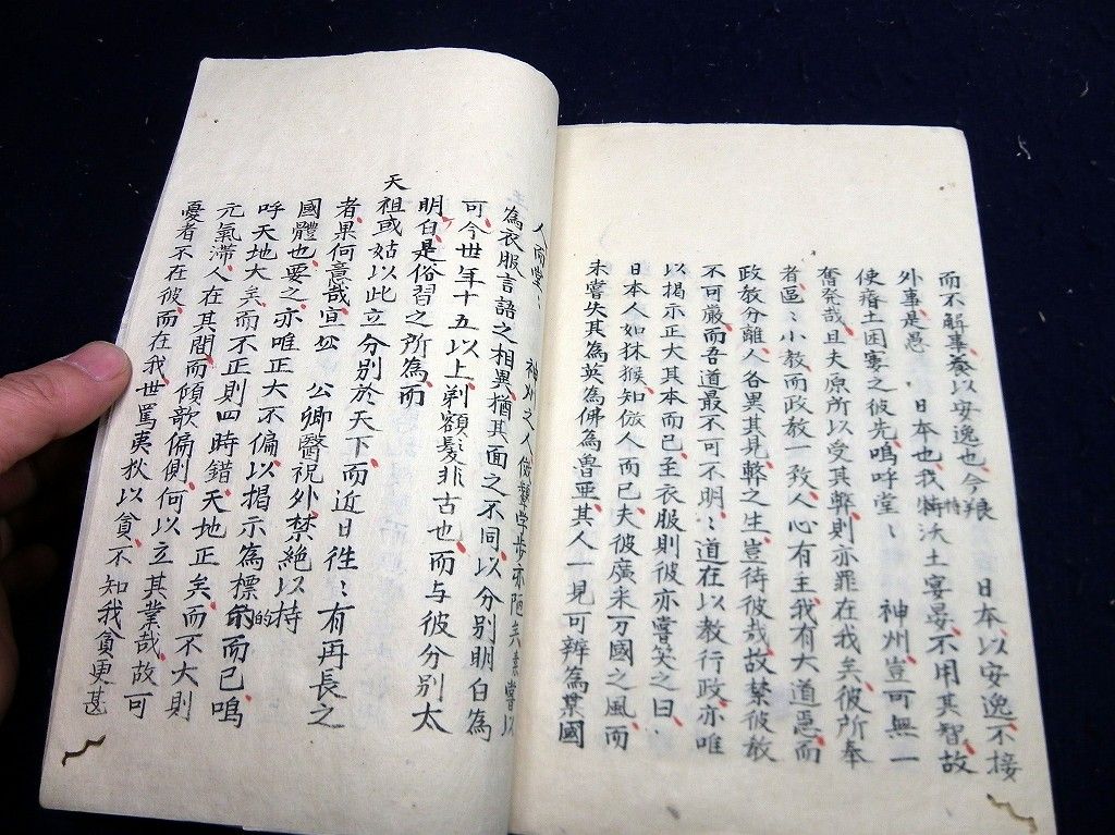 イメージ 6