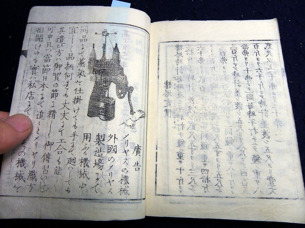 イメージ 11
