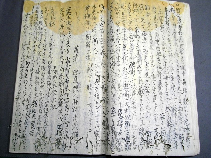 イメージ 4