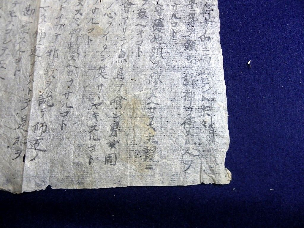 イメージ 3