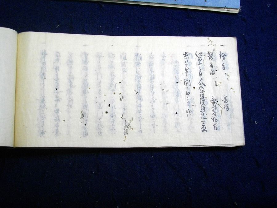 イメージ 8