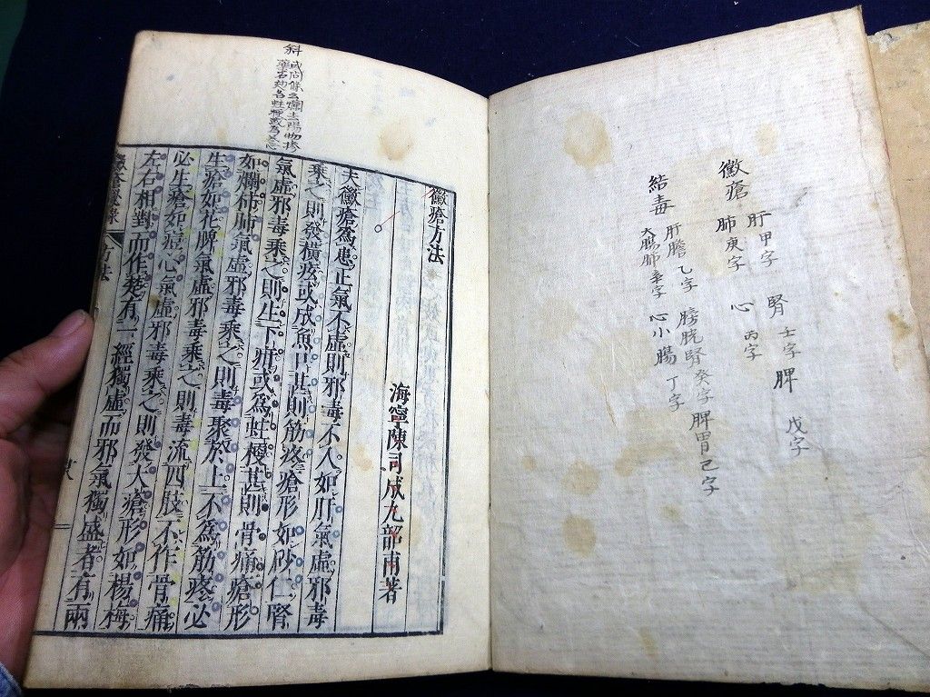 イメージ 9