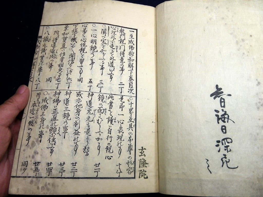 イメージ 7