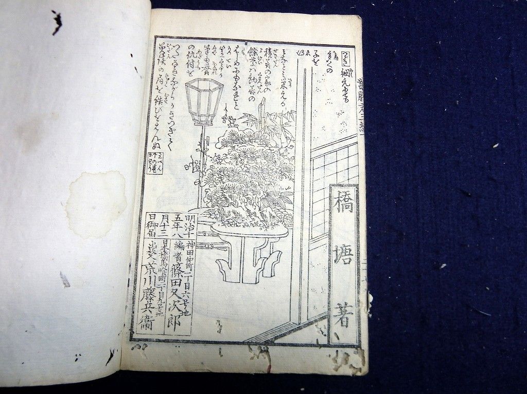 イメージ 12