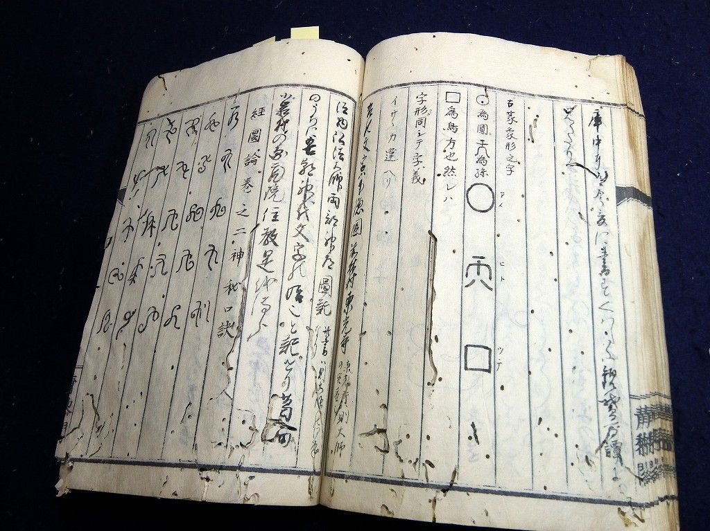 イメージ 9