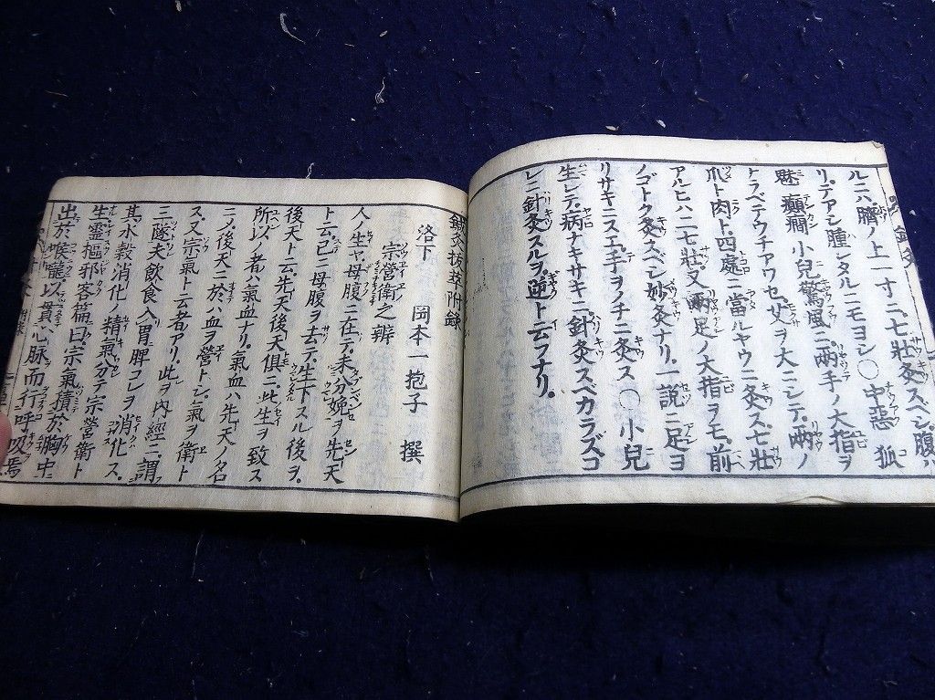イメージ 12