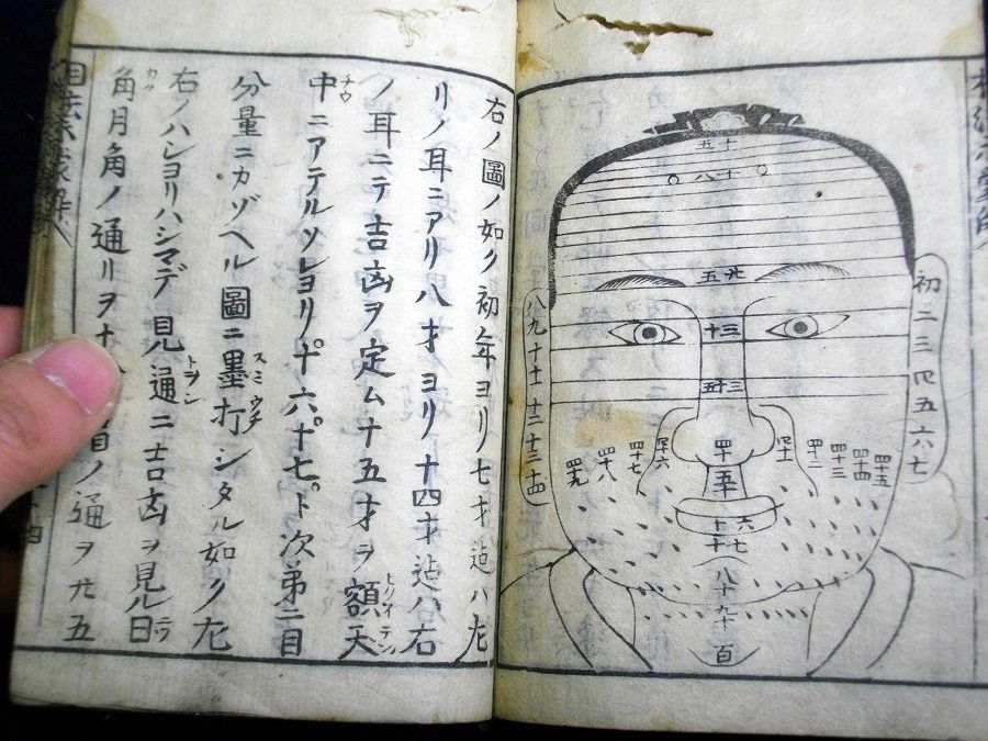 イメージ 8