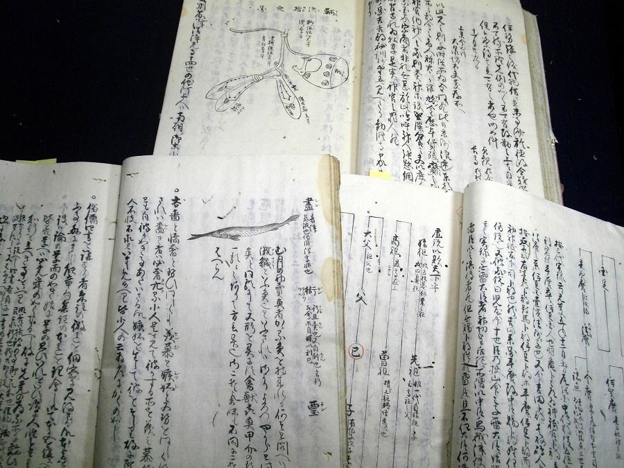 イメージ 3