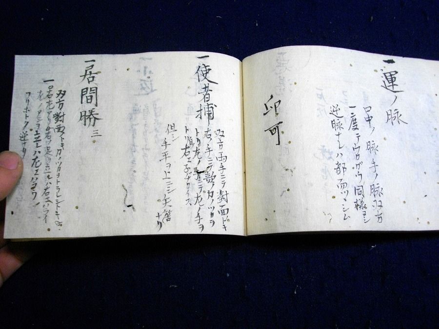 イメージ 8