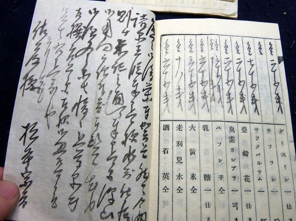 イメージ 7