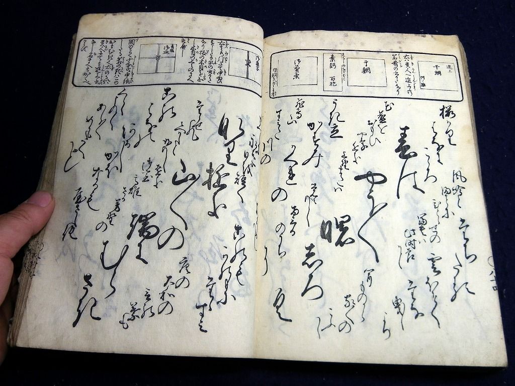 イメージ 8