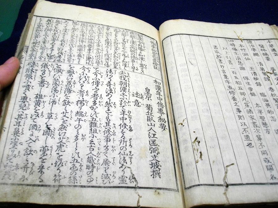 イメージ 4