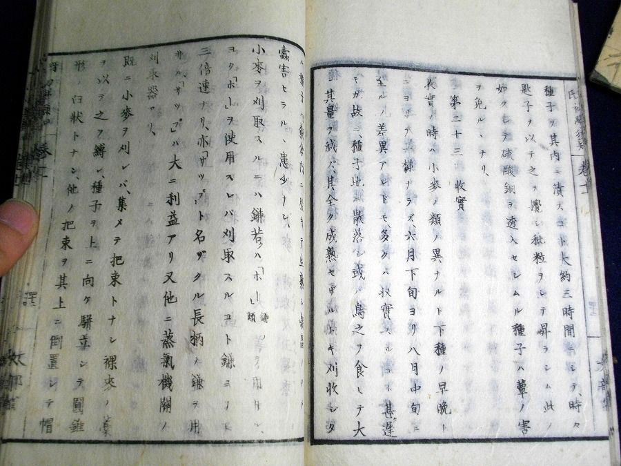 イメージ 4