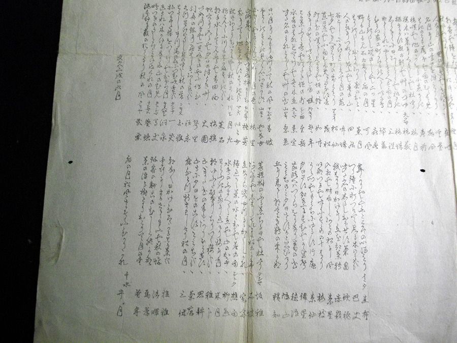 イメージ 5