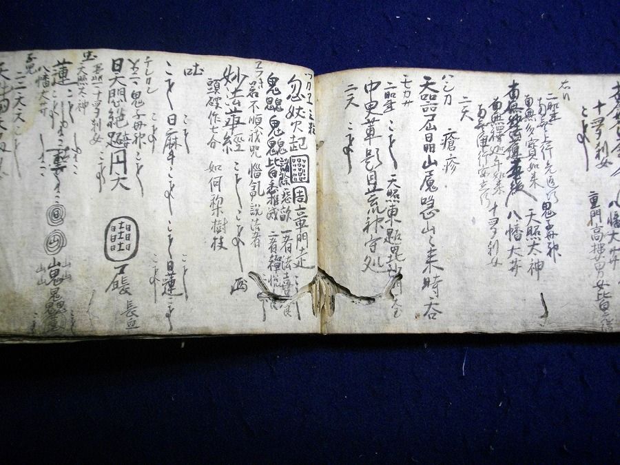 イメージ 7