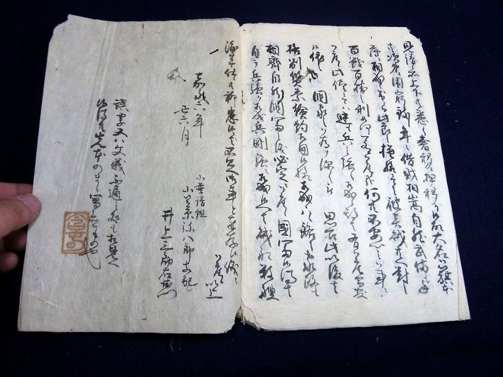 イメージ 8
