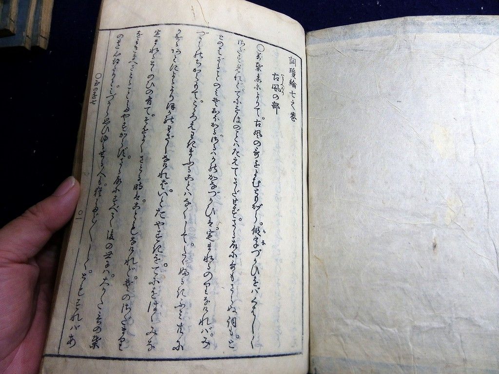 イメージ 7