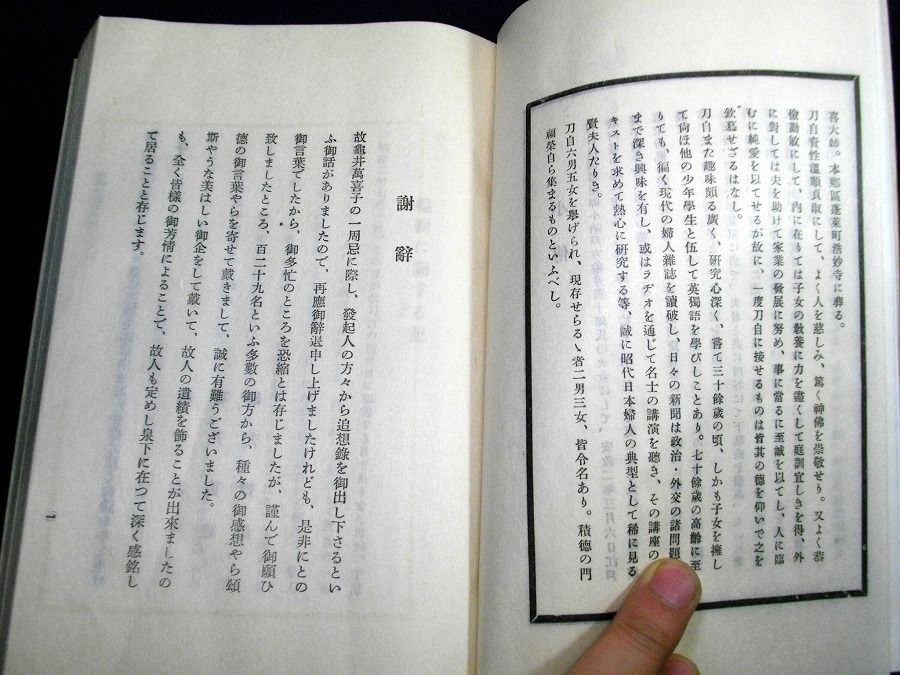 イメージ 3