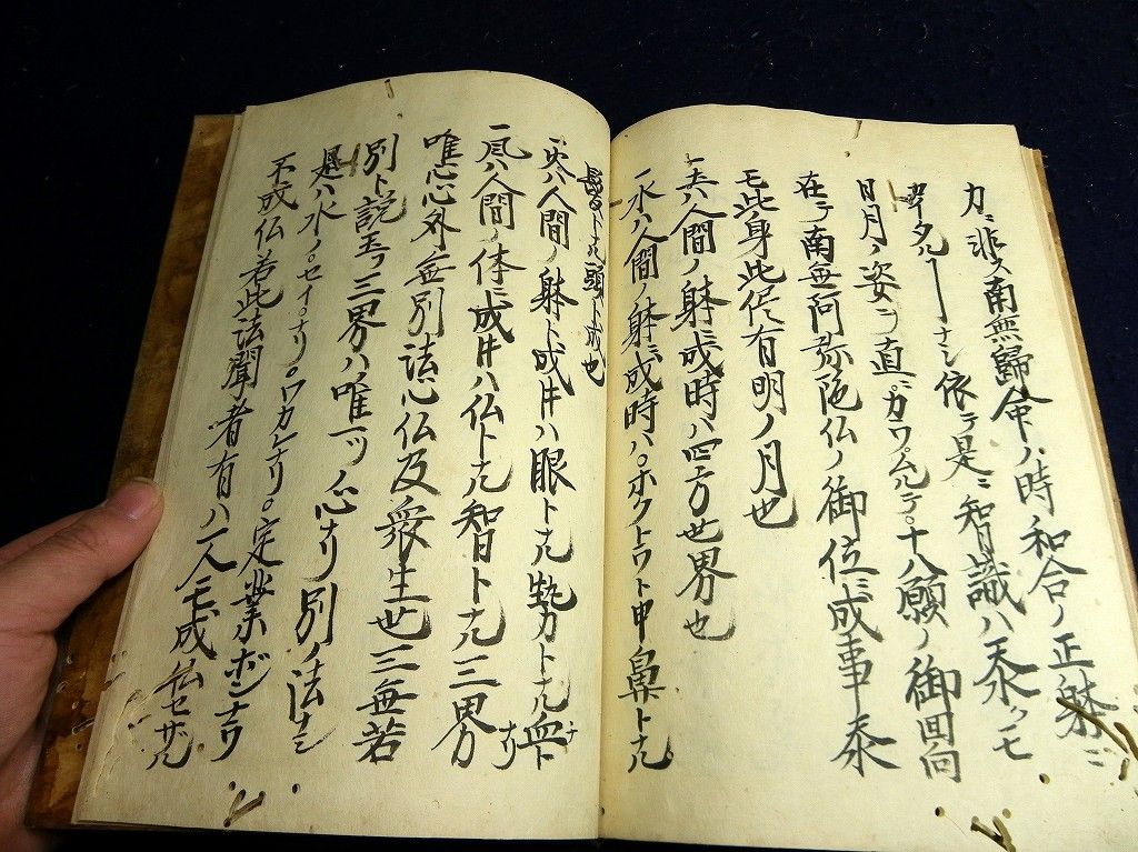 イメージ 8