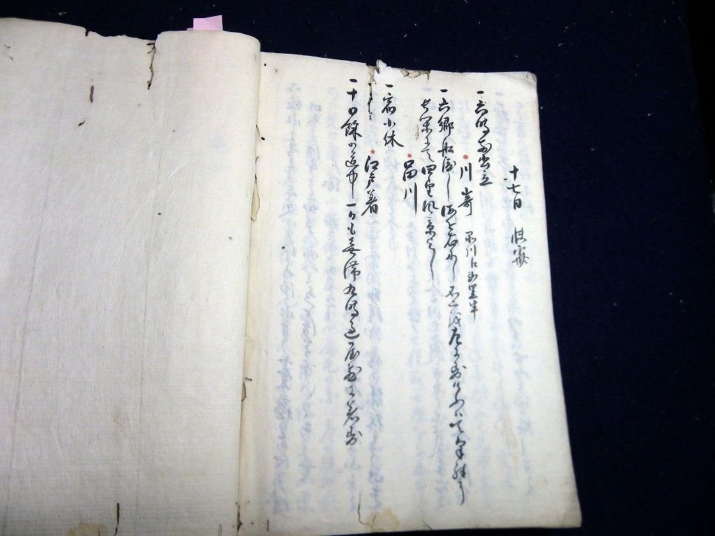 イメージ 14