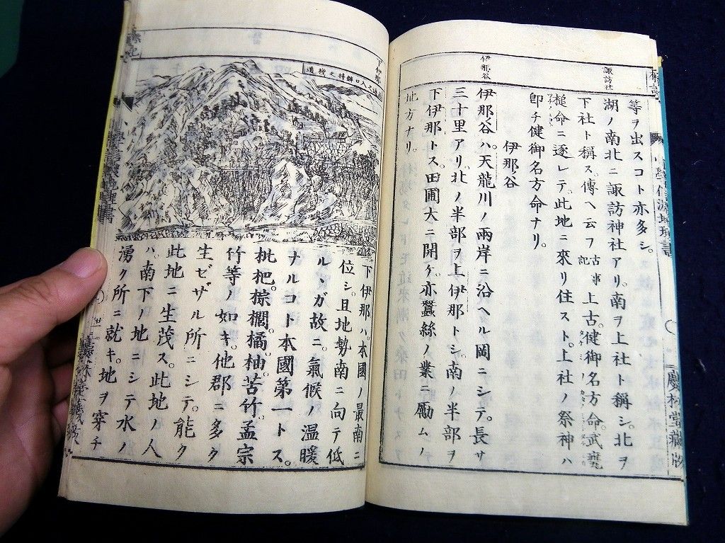 イメージ 9