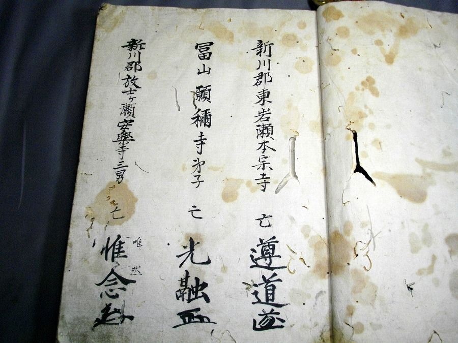 イメージ 2