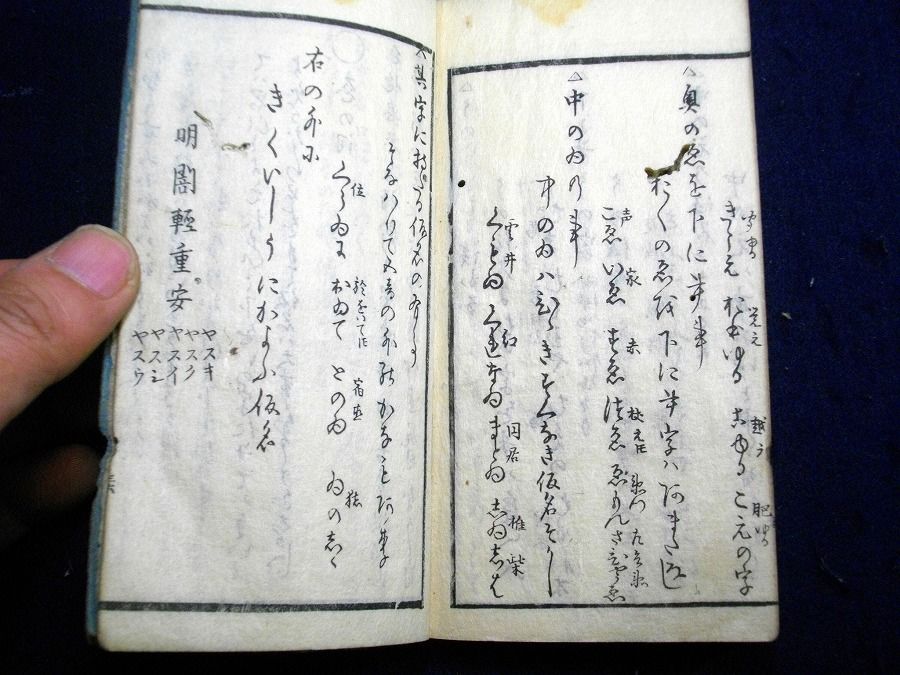 イメージ 7